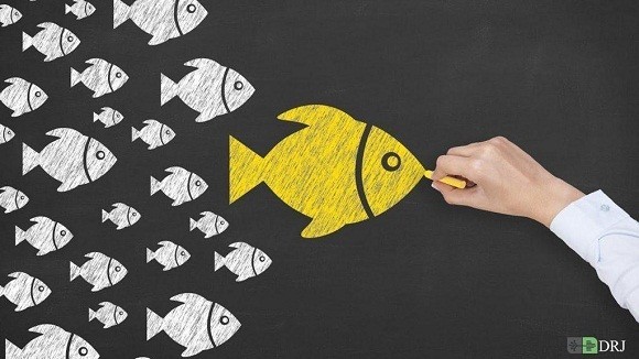 اکوسیستم را بچلانیم، ۲۰۰ استارتآپ بیشتر نمیماند